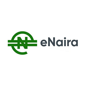 E-Naira Article Image